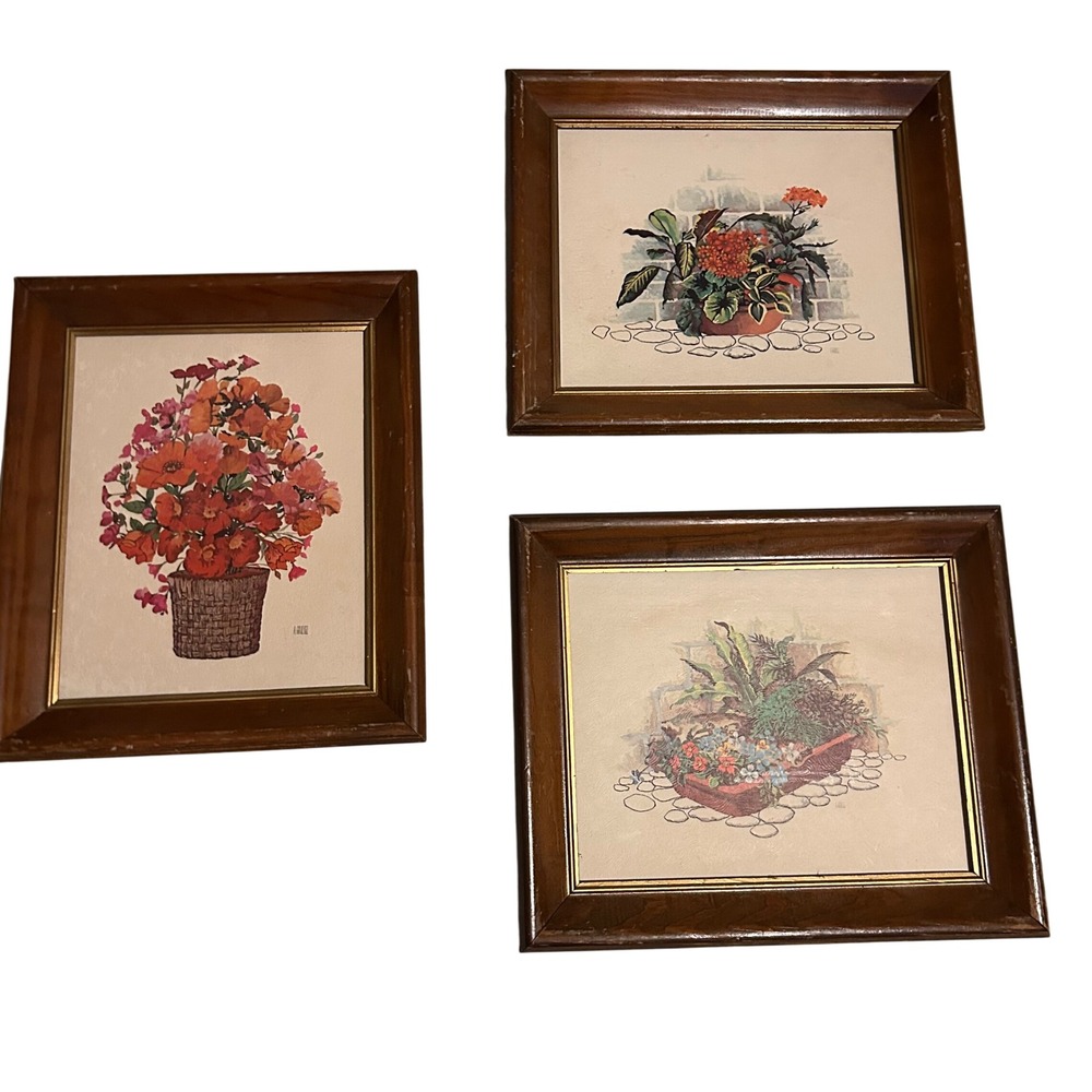 Vintage Framed Floral Prints Set of 3‎ | Mid-Century Era Botanical Wall Art